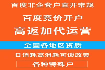 百度竞价入门必看：实操技巧与成功案例